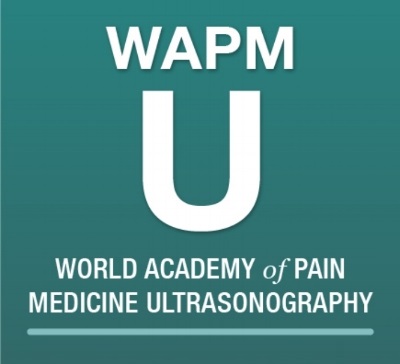 World Academy Pain medicine ultrasound in Toronto